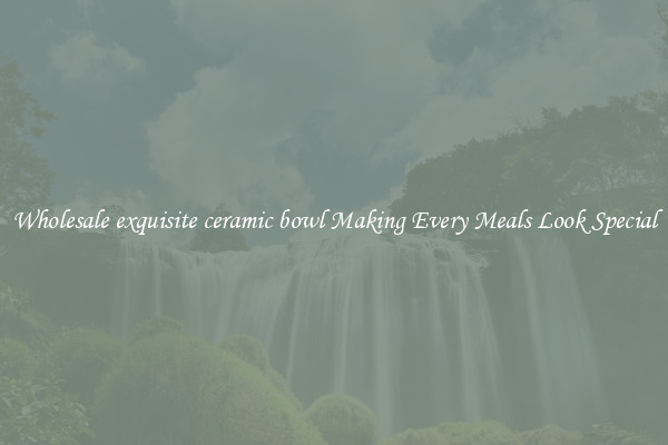 Wholesale exquisite ceramic bowl Making Every Meals Look Special