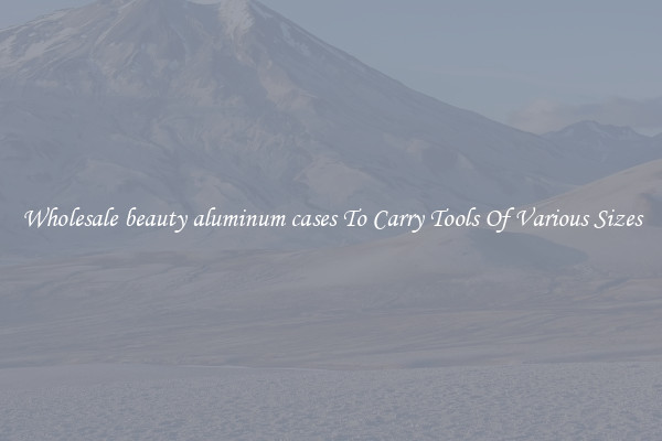 Wholesale beauty aluminum cases To Carry Tools Of Various Sizes