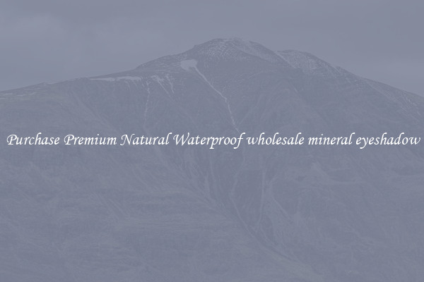 Purchase Premium Natural Waterproof wholesale mineral eyeshadow