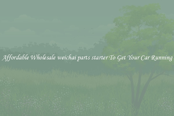 Affordable Wholesale weichai parts starter To Get Your Car Running
