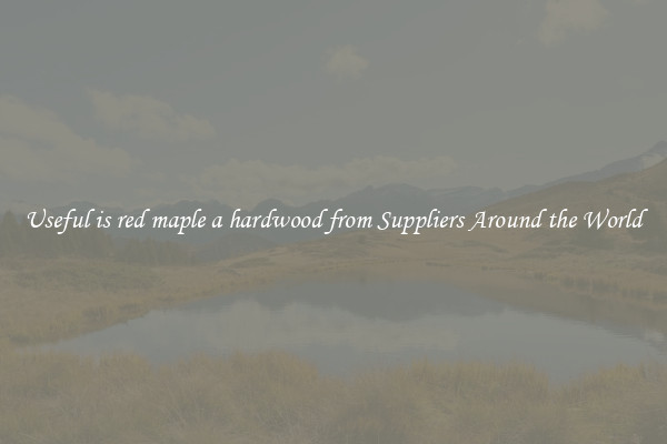 Useful is red maple a hardwood from Suppliers Around the World