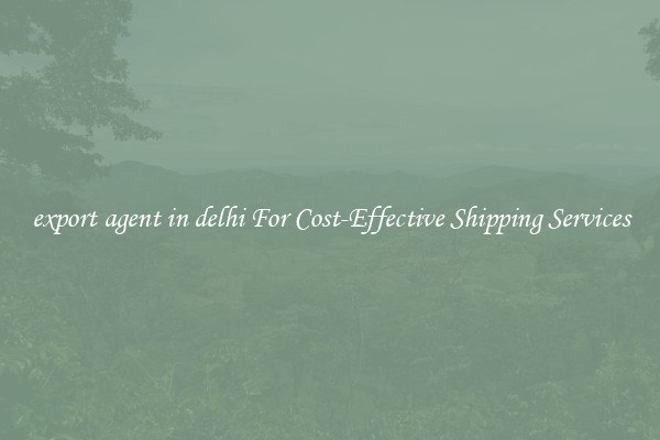 export agent in delhi For Cost-Effective Shipping Services