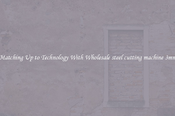 Matching Up to Technology With Wholesale steel cutting machine 3mm