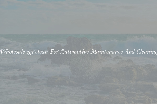 Wholesale egr clean For Automotive Maintenance And Cleaning