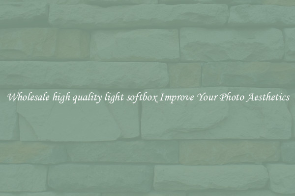 Wholesale high quality light softbox Improve Your Photo Aesthetics