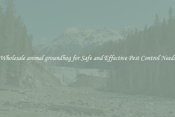 Wholesale animal groundhog for Safe and Effective Pest Control Needs