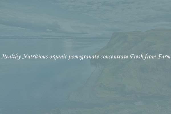 Healthy Nutritious organic pomegranate concentrate Fresh from Farm
