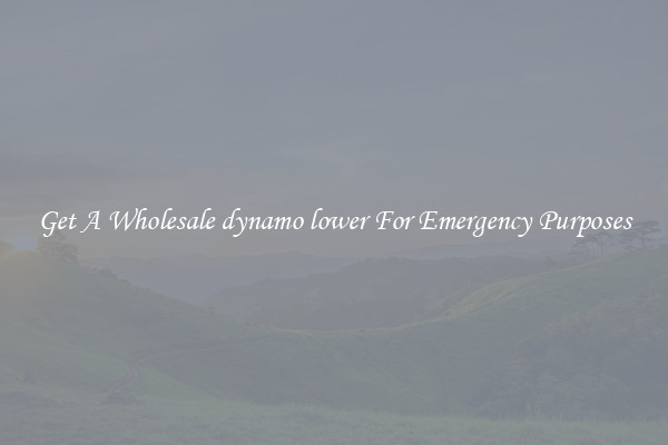 Get A Wholesale dynamo lower For Emergency Purposes