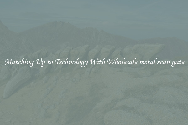 Matching Up to Technology With Wholesale metal scan gate