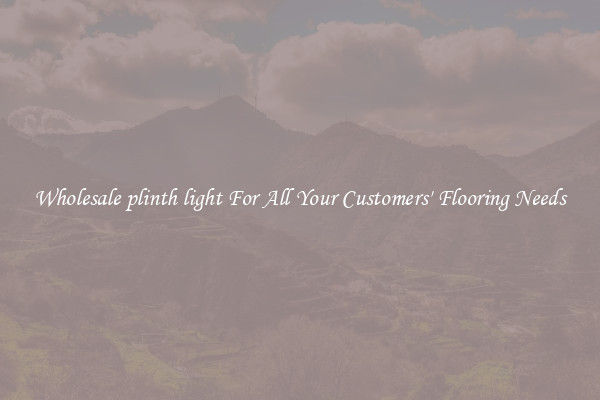 Wholesale plinth light For All Your Customers' Flooring Needs
