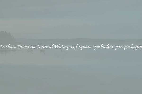 Purchase Premium Natural Waterproof square eyeshadow pan packaging