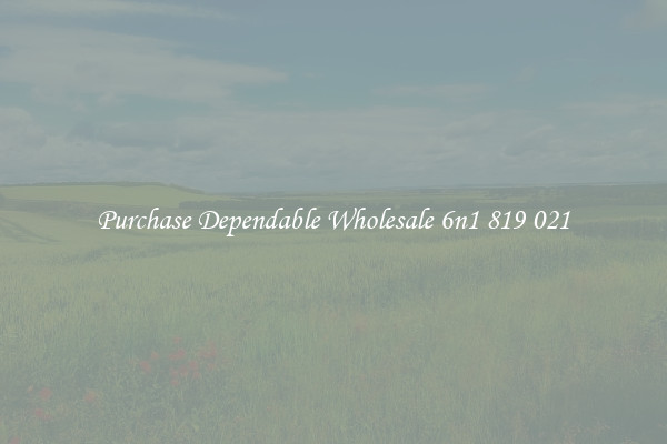 Purchase Dependable Wholesale 6n1 819 021