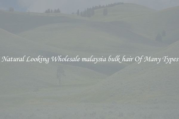 Natural Looking Wholesale malaysia bulk hair Of Many Types
