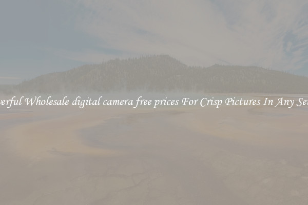Powerful Wholesale digital camera free prices For Crisp Pictures In Any Setting