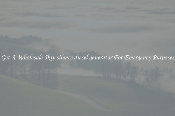 Get A Wholesale 5kw silence diesel generator For Emergency Purposes