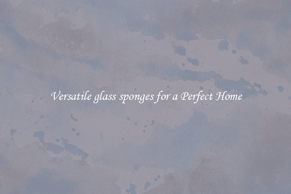 Versatile glass sponges for a Perfect Home