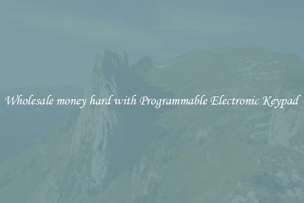Wholesale money hard with Programmable Electronic Keypad 