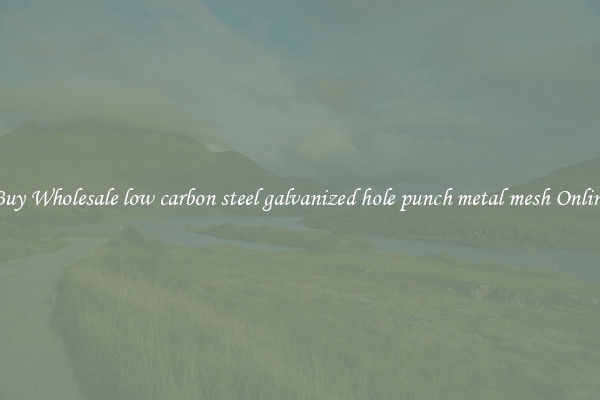 Buy Wholesale low carbon steel galvanized hole punch metal mesh Online