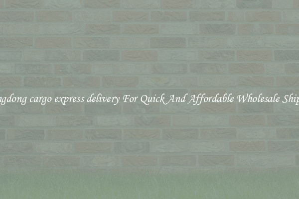 guangdong cargo express delivery For Quick And Affordable Wholesale Shipping