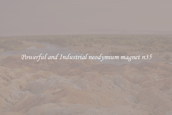 Powerful and Industrial neodymium magnet n35
