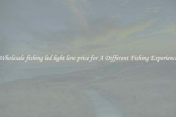 Wholesale fishing led light low price for A Different Fishing Experience