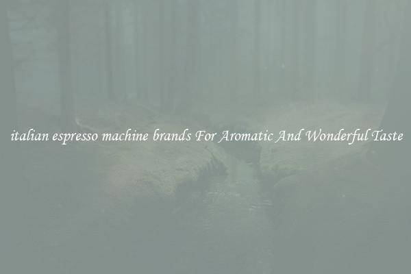 italian espresso machine brands For Aromatic And Wonderful Taste